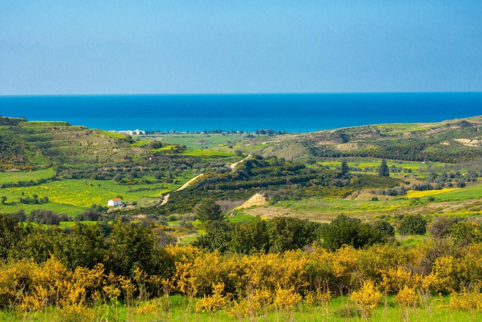 Villa Rallo Pafos Zewnętrze zdjęcie